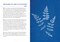 3-Color Botanical Cyanotype Kit: Beginner-Friendly Solar Printing Kit for DIY Nature Art